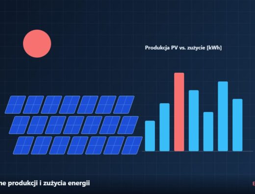 Dane produkcji i zużycia energii